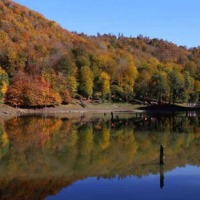 روستای حلیمه جان گیلان